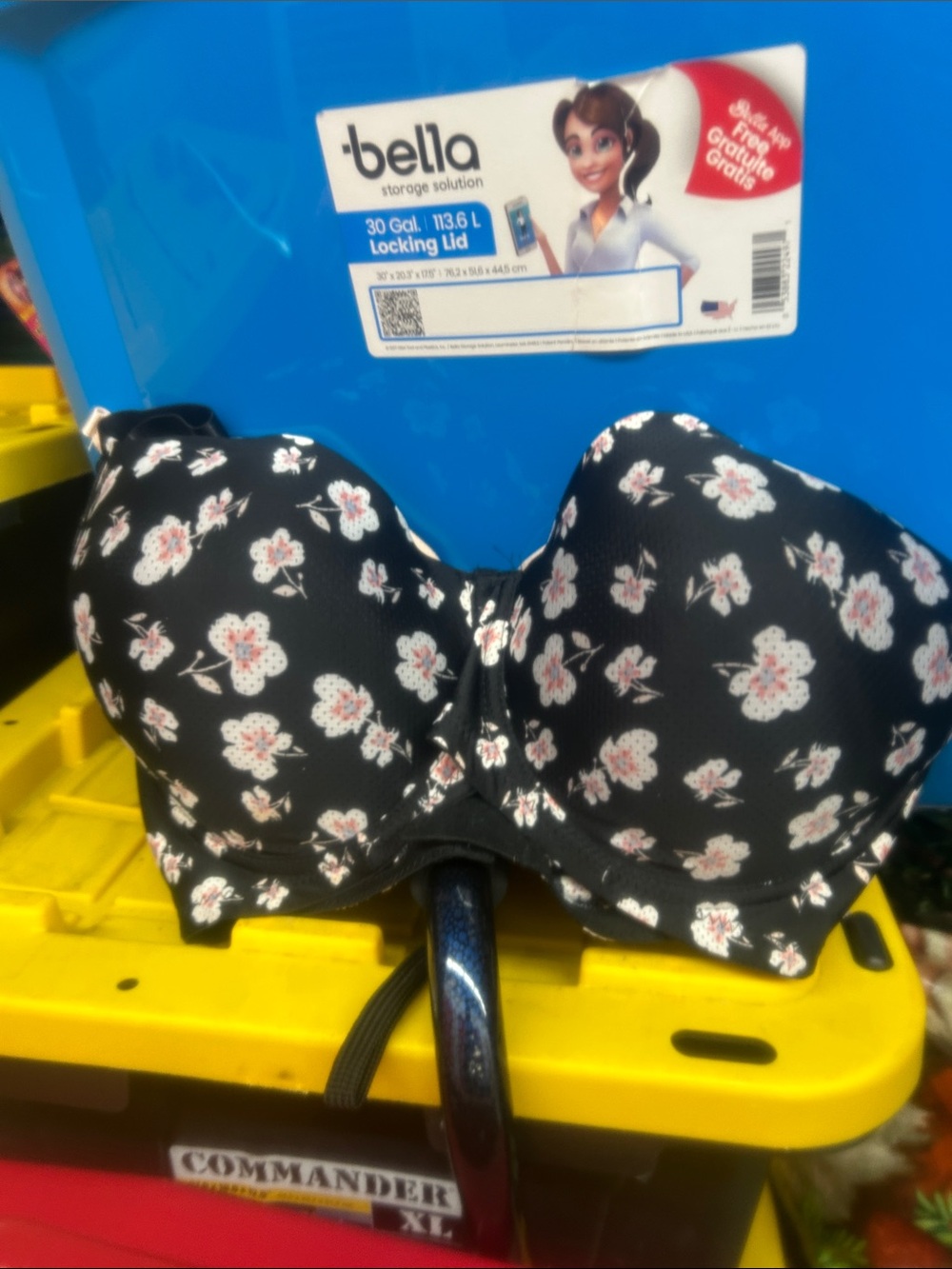 2 nwt Sz 38dd bras by Laura Ashley. FINAL SALE